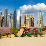 RHBS Travel - Dubai Tour Package From Bangladesh
