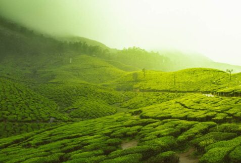 RHBS Travel - kerala Tour Package From Bangladesh