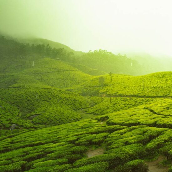 RHBS Travel - kerala Tour Package From Bangladesh